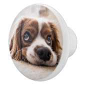 Sad-Eyed Cocker Spaniel Dog Keramische Knop (Rechts)