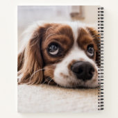 Sad-Eyed Cocker Spaniel Dog Notitieboek (Achterkant)