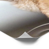 Sad Eyes Poster (Hoek)