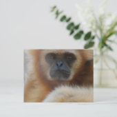 Sad Gibbon Briefkaart (Staand voorkant)