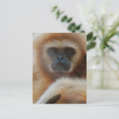 Sad Gibbon Briefkaart (Staand voorkant)