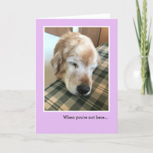Sad Golden Retriever met hoofd Miss You Kaart