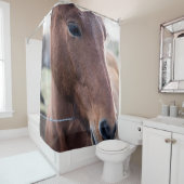 SAD HORSE DOUCHEGORDIJN (In situ)