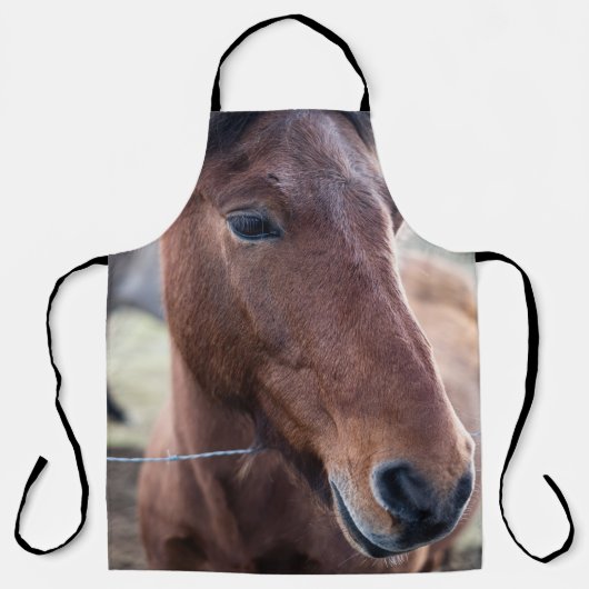 SAD HORSE SCHORT (Voorkant)