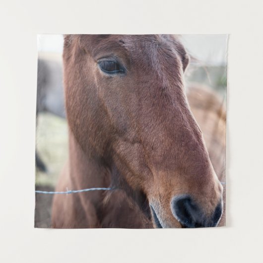 SAD HORSE WANDKLEED (Voorkant)