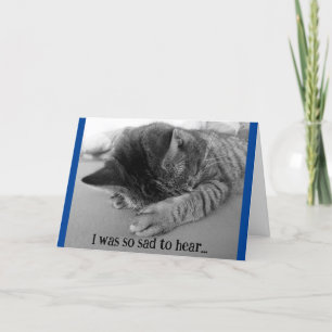 Sad Kitten Obtenez Bonne Carte De Voeux