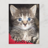 Sad Kitten - VOUS ME MANQUEZ Carte Postale (Devant)