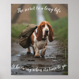 Sad & Lonely Pets Poster Print: Basset Secret