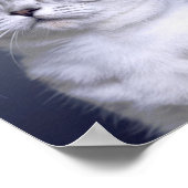 Sad & Lonely Pets Poster Print: Dit is het (Hoek)