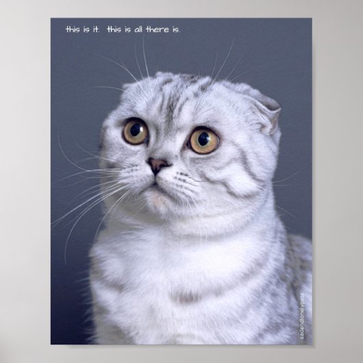 Sad & Lonely Pets Poster Print: Dit is het (Voorkant)