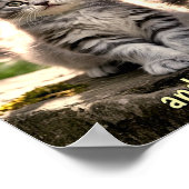 Sad & Lonely Pets Poster Print: Follow Me (Coin)