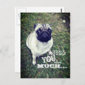 Sad Pug Briefkaart (Voorkant / Achterkant)