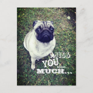 Sad Pug Briefkaart
