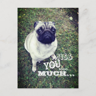 Sad Pug Briefkaart