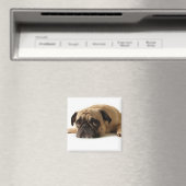 Sad Pug Magneet (Insitu (Vaatwasser))