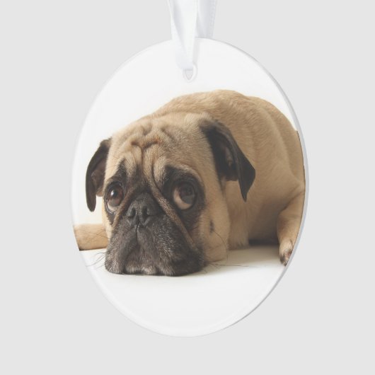 Sad Pug Ornament (voorkant)