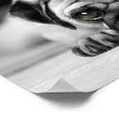 Sad Pug Poster (Hoek)