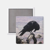 Sad Raven Magnet 01 Magneet (Voorkant / Achterkant)