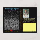 Sad Sad Tale van de Passenger Pigeon —~ Briefkaart (Achterkant)