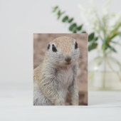 Sad Squirrel Briefkaart (Staand voorkant)