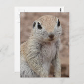 Sad Squirrel Briefkaart (Voorkant / Achterkant)