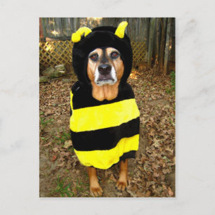 Saddest Bee Postcard Briefkaart