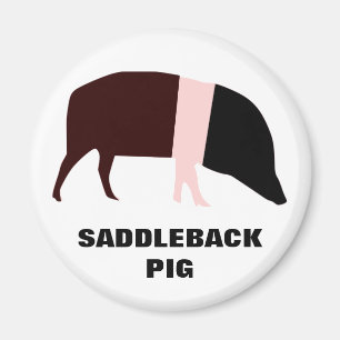 Saddleback Pig Magnet Magneet