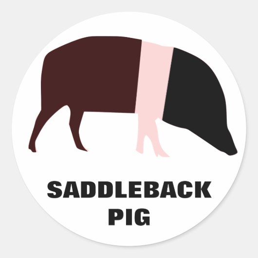 Saddleback Pig  Sticker (Voorkant)
