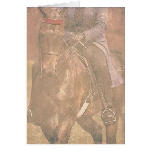 Saddlebred Dreams (Voorkant)