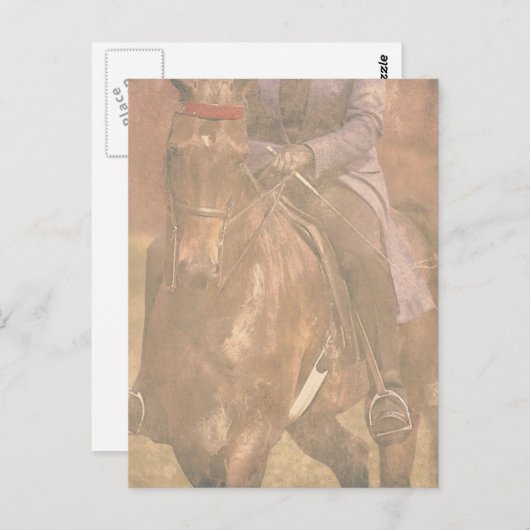 Saddlebred Dreams Briefkaart (Voorkant / Achterkant)