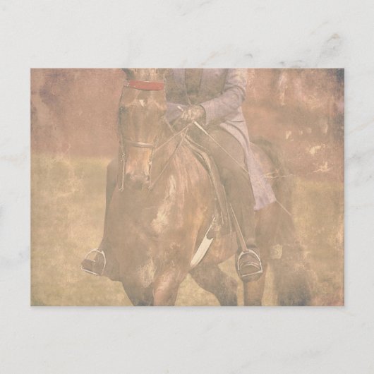 Saddlebred Dreams Briefkaart (Voorkant)