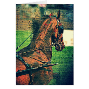 Saddlebred in Harness