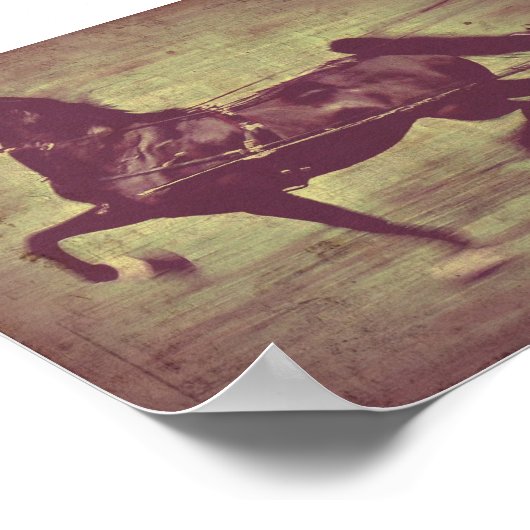 Saddlebred Song Poster (Hoek)