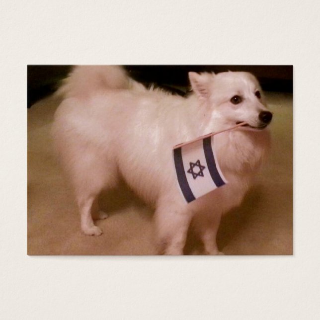 Sadie le chien juif (Devant)