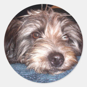 Sadie Ronde Sticker