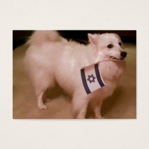 Sadie the Jewish Dog Visitekaartjes