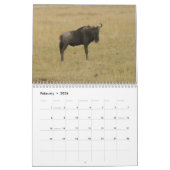 Safari 1 kalender (Feb 2026)
