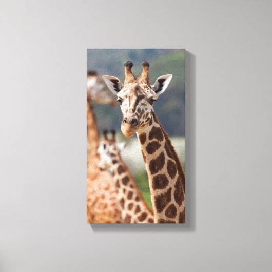 Safari Africa Giraffe Canvas Afdruk (Voorkant)