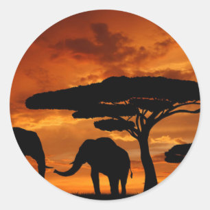 Safari African Baobab tree oliephant silhouette Ronde Sticker