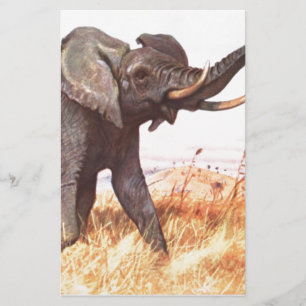 Safari African Oerwoud Destiny Dieren Olifanten Briefpapier