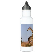 Safari Afrika Giraffes Waterfles (Links)