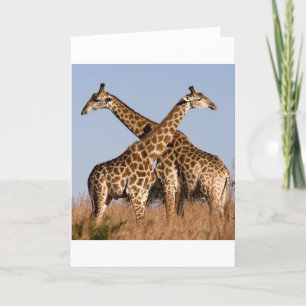 Safari Afrika Modieus Klasse Bestemming Giraffe Kaart
