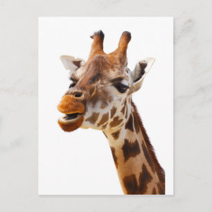 Safari Afrika Oerwoud Giraffe Briefkaart