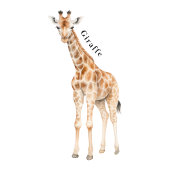 Safari Animals Educational Poster Perfect Poster