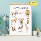Safari Animals Educational Poster Perfect Poster