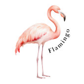 Safari Animals Educational Poster Perfect Poster