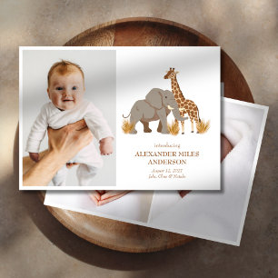 Safari Animaux Photos Nouveau Faire-part bébé