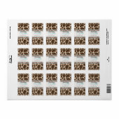 Safari Boy TY Mini Candy Bar Étiquette (Feuille entière)