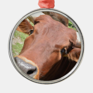 Safari Brown Koe Metalen Ornament