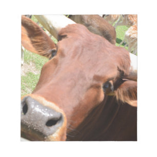 Safari Brown Koe Notitieblok